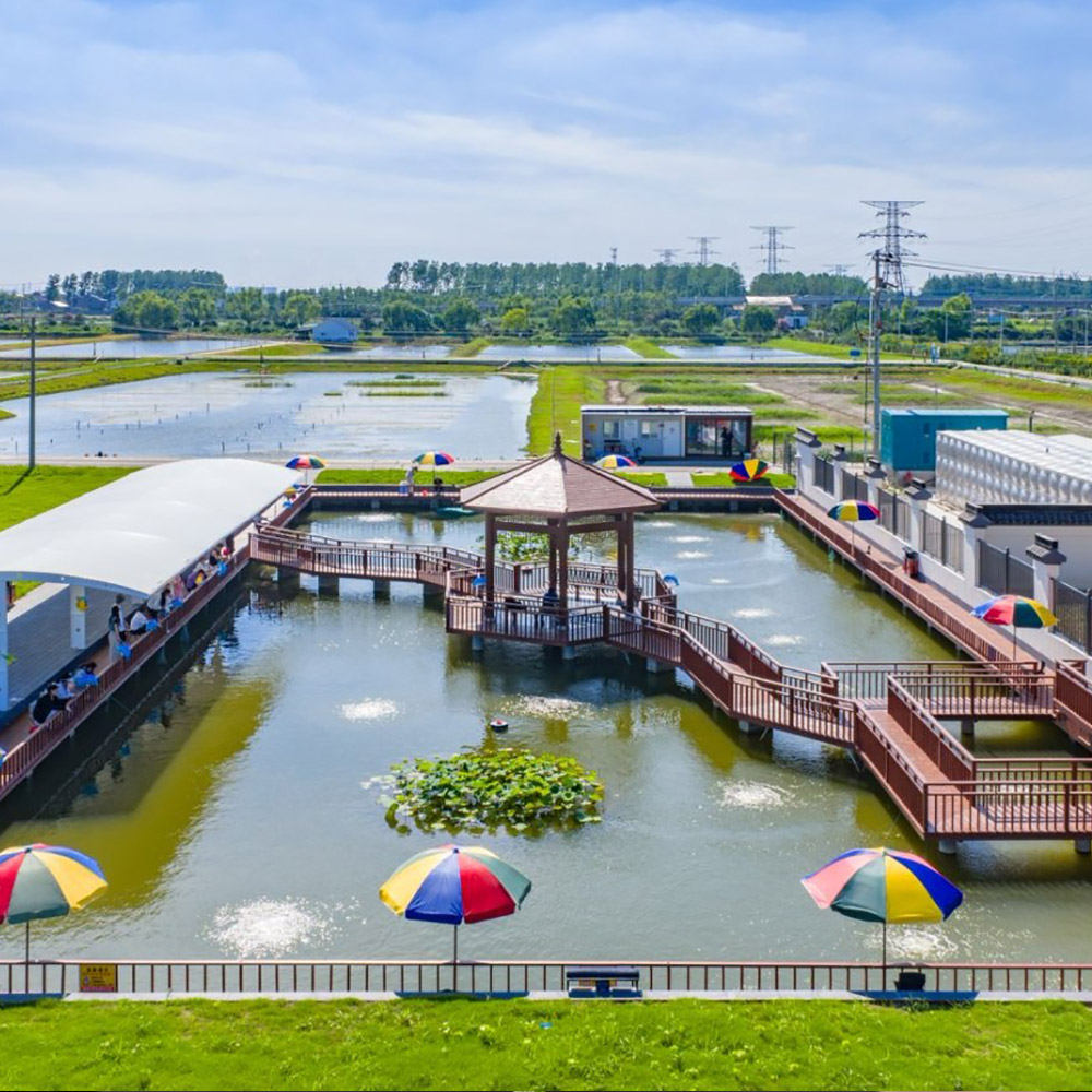 金阳王青少年虾蟹鱼趣探索营