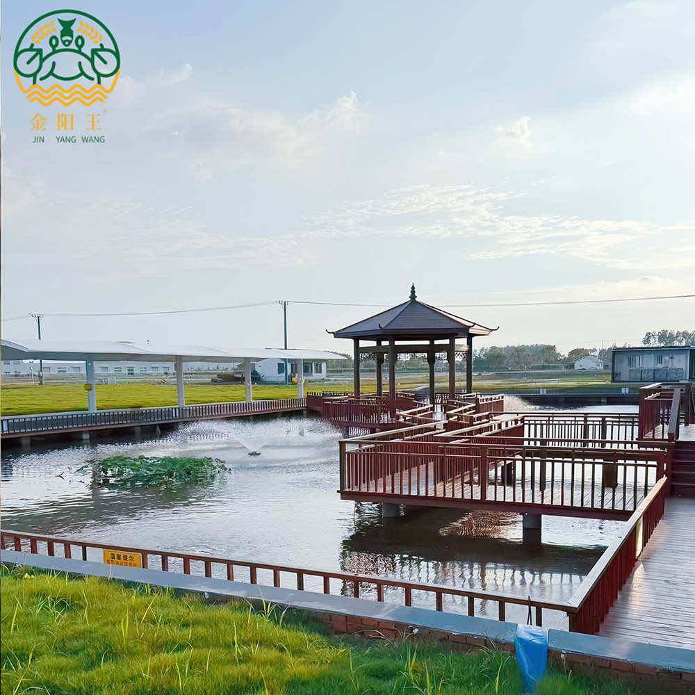 金阳王青少年虾蟹鱼趣探索营