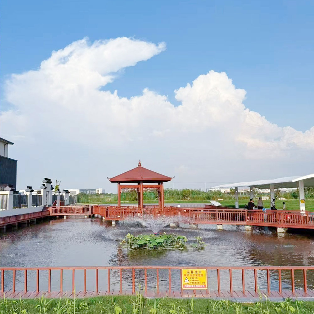 金阳王青少年虾蟹鱼趣探索营