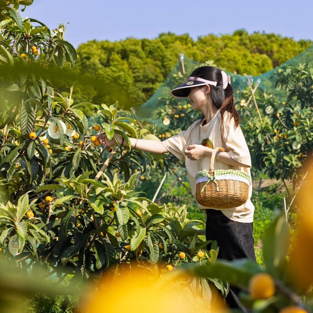 金阳王金牛山果园采摘