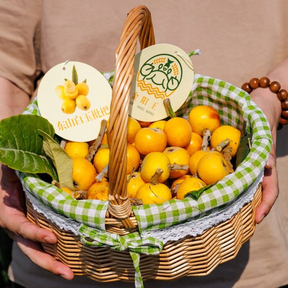 金阳王金牛山果园采摘