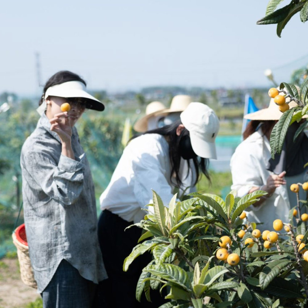 金阳王金牛山果园采摘