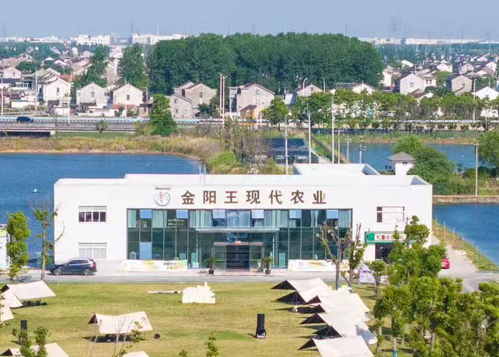 {dede:field name='typename'/}